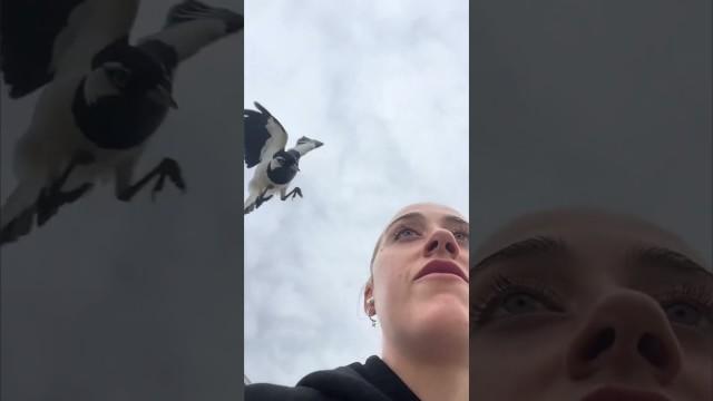 Bird Tries to Steal Woman's Eye