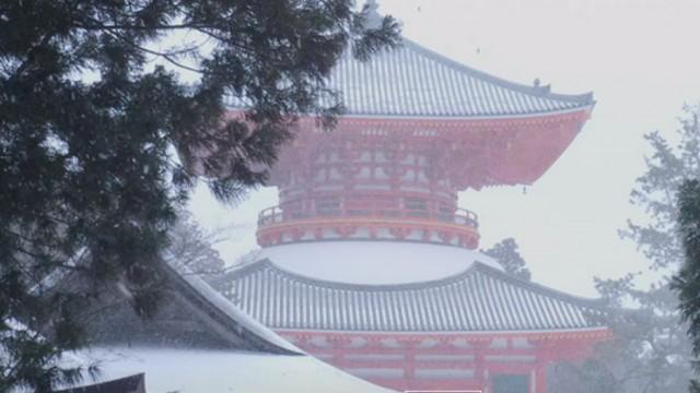 新春特別企画 四季で巡る！日本の聖地