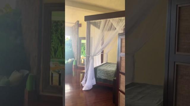 The Best Hotel View in the World