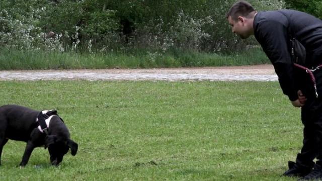 Training gescheitert