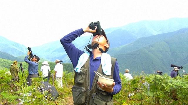 Nagano: Watching for Hawks