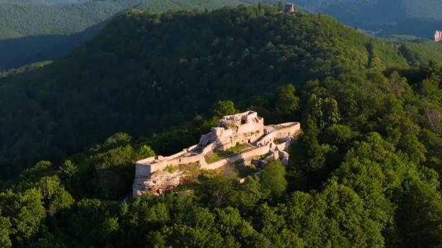 Passion patrimoine : Terroirs d'excellence dans les Vosges