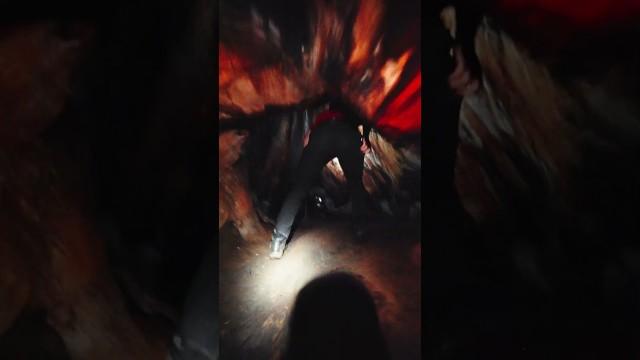 Climbing the Inside of a Tree