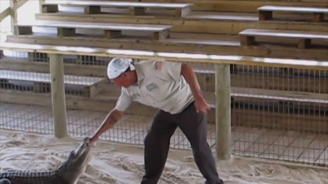 Homeowner vs. Handyman