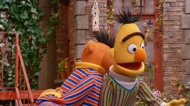 Bert and Ernie's Opposite Day