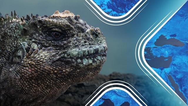 Faszination Erde: Galapagos - Inseln der Freaks