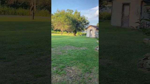 How Do They Move This Fast