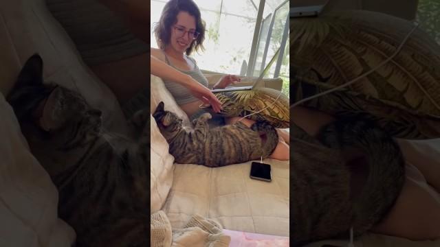 The Cat Won't Stop