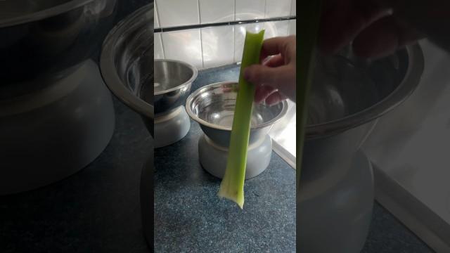 Jurassic Celery Physics