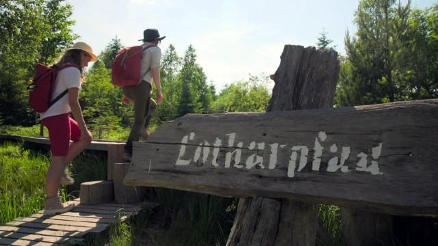 Unterwegs im nördlichen Schwarzwald