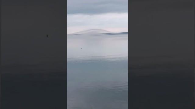 When Fog Starts Glitching
