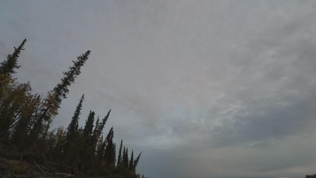 Something in the Air