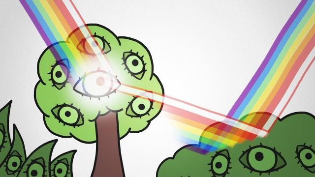 ALL Plants Have Color Vision?!