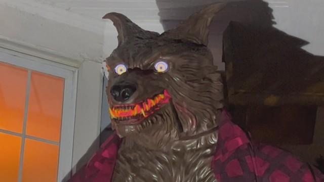 Sun, Swim and Standoff 