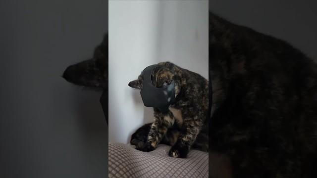 He Accepted His Fate