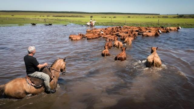 Fleuve Uruguay