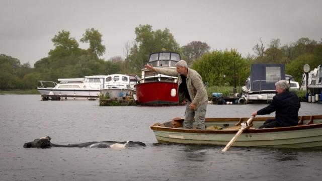 Fleuve Shannon