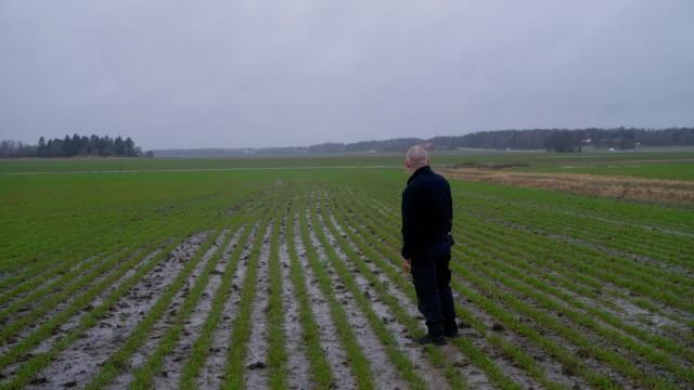 The Man in the Field