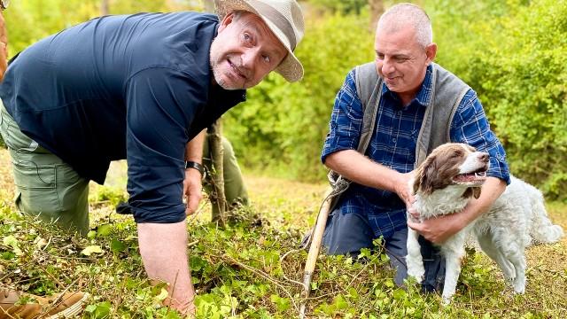 The truffle heroes