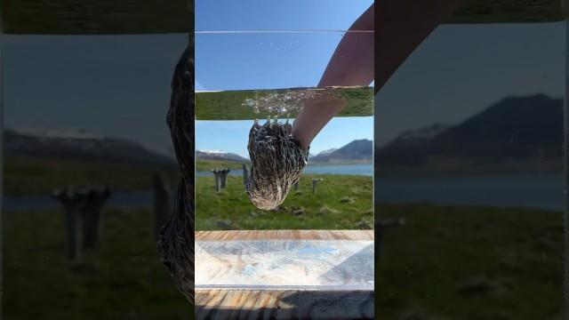 Hydrophobic Feathers
