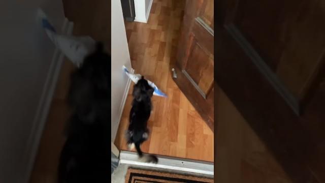 He Waited All Day for This