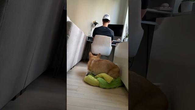 He Tried to Get Him Fired