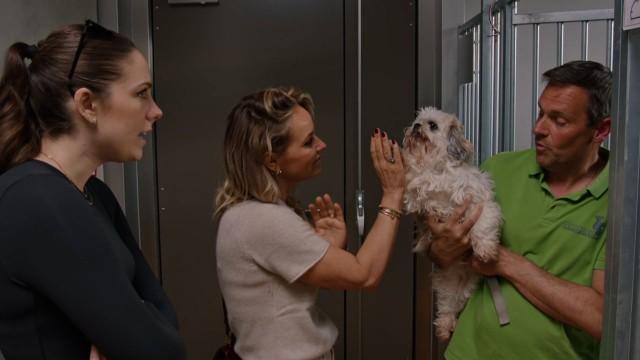Aflevering 2