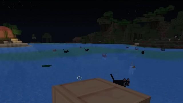 Water Cats [Ep.50]