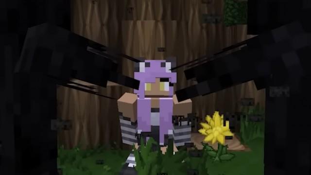 The Search for Michi