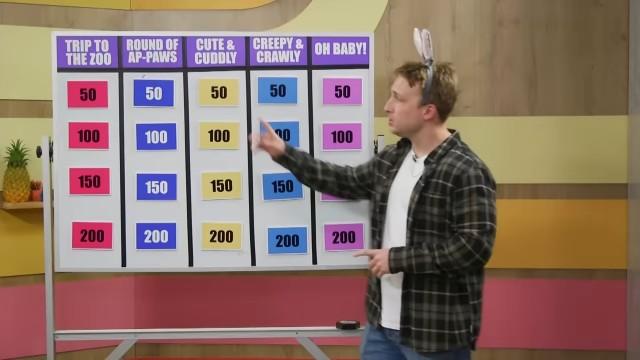 Are You An Animal Expert?