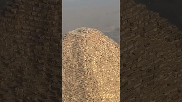 Dog Takes Over Pyramid