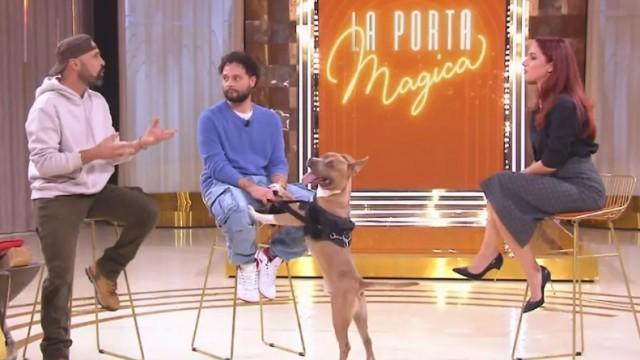 Puntata del 27/11/2024