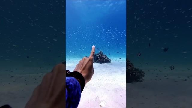 Underwater Superpower