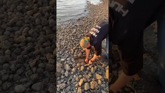 New Pokémon Discovered