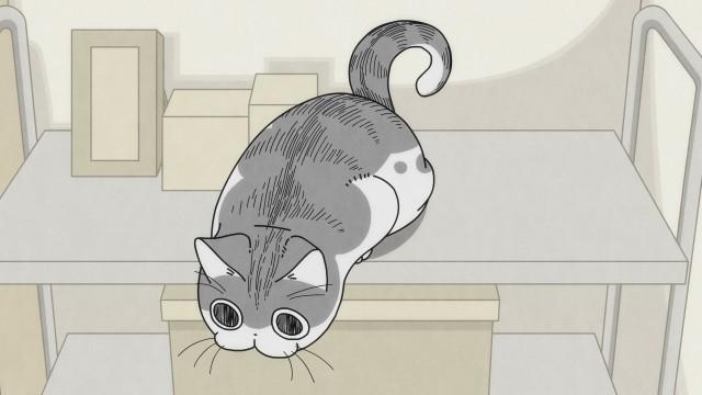 Night 70: A Cat Climbing Up High