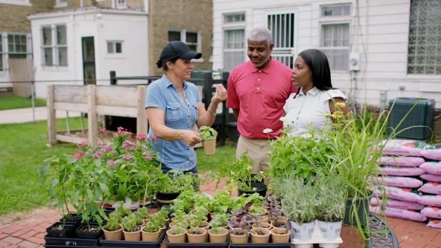 Urban Gardens, Apron Driveway