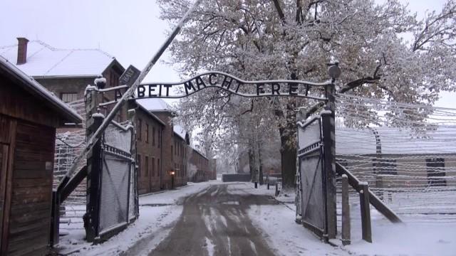 Auschwitz - Speciale Il Giorno della Memoria