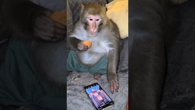 Average YouTube User