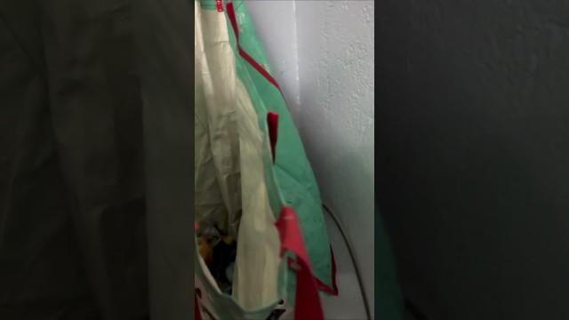What’s in the Bag?