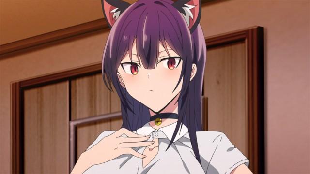 I Want You to Make This Cat Purr, Meow