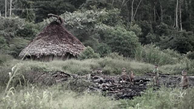 Saúde Yanomami