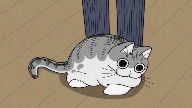 Night 85: A Cat Grabbing Your Attention at Your Feet