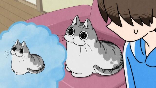 Night 86: The Moment His Tail Puffs Up