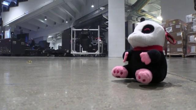 Chicago Live Show - Backstage Pass