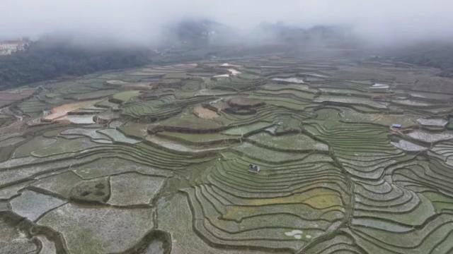 Vietnam, le voyage d'une vie