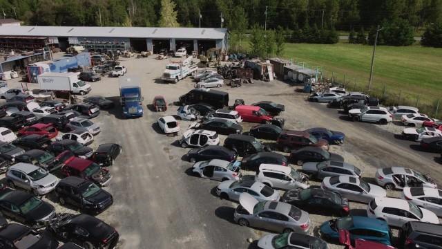 Mettre des bâtons dans les chenilles