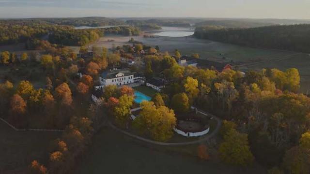I falska vänners lag