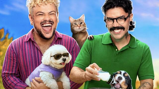 #164 - Existem limites para mimar seu pet?