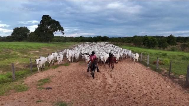 Mochilão do Profissão: Pantanal
