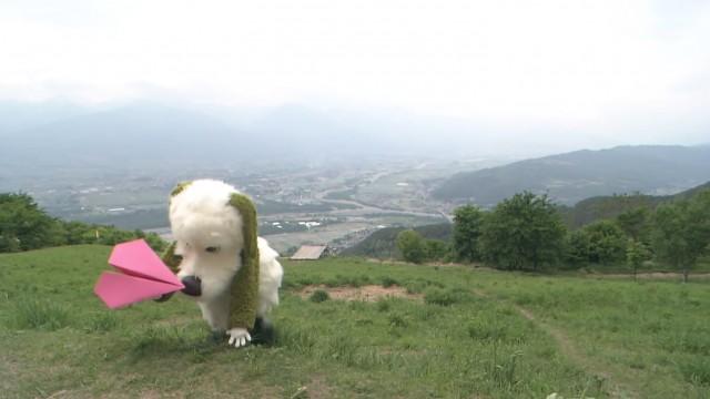 金曜日